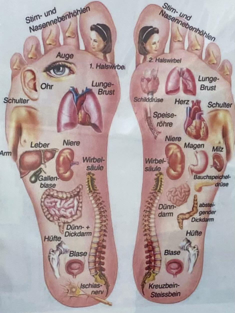 Deine Fußreflexzonen an den Füßen