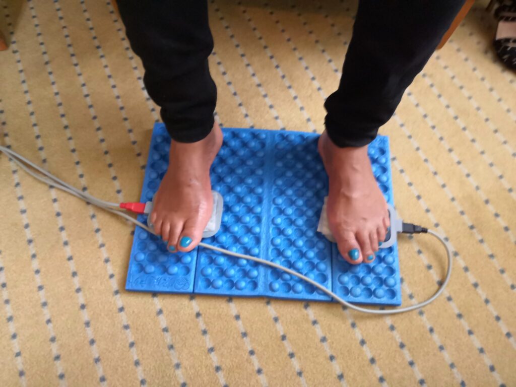 Säure-Basen-Ausgleich mit DDS-Bio-elektrisches Meridian-Bioenergie-Massagegerät und Muskel-Stimulator